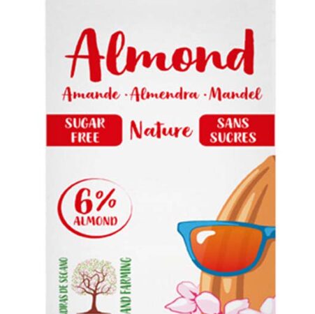 Laboratorios Soya Drink Natural 1L