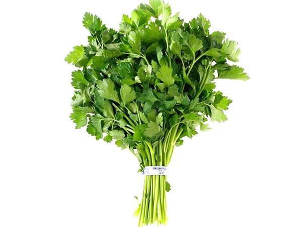 Organic Parsley Leaves