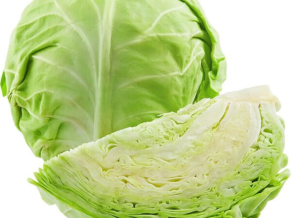 White Cabbage