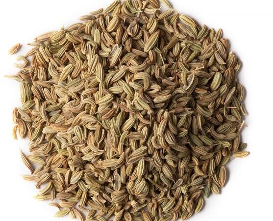 Organic Fennel Seeds Green
