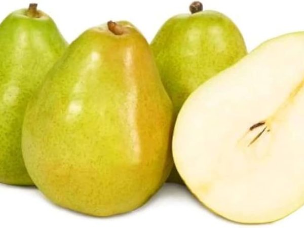 Organic Heirloom Pear Kooshi