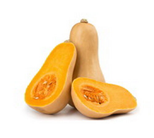 Organic Squash Butternut Heirloom Succana Orange Rugosa