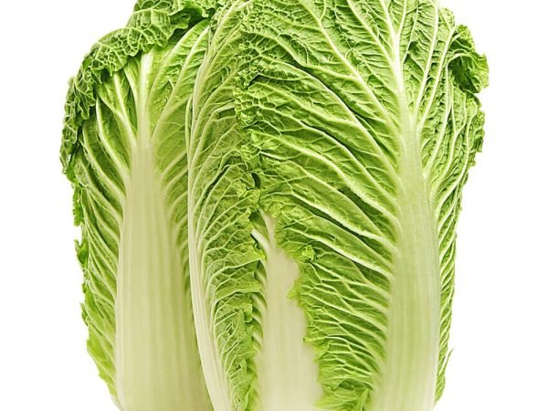 Cabbage Chinese