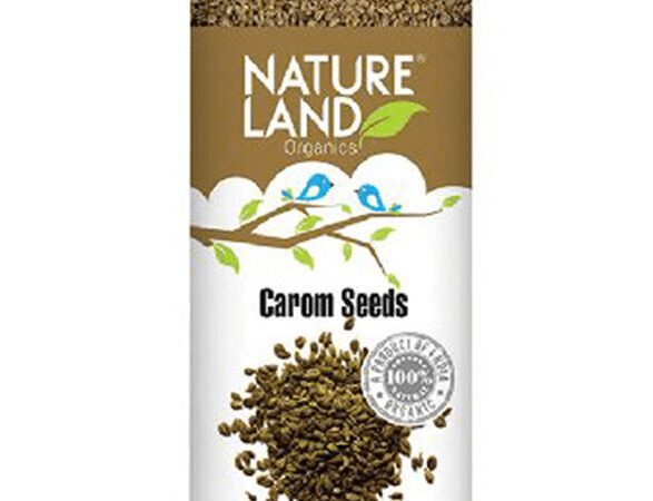 Organic Ajwain Carom Seeds 100 Gm Natureland