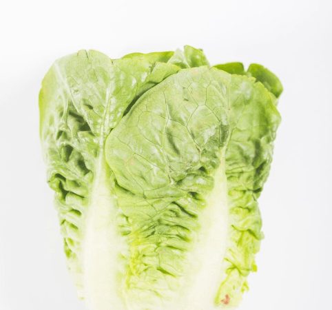 Lettuce Iceberg