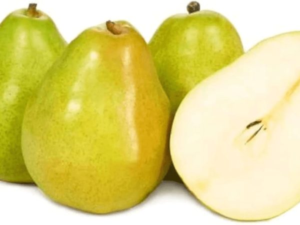 Organic Heirloom Pear Kooshi