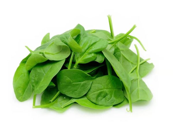 Organic Spinach Heirloom Baby
