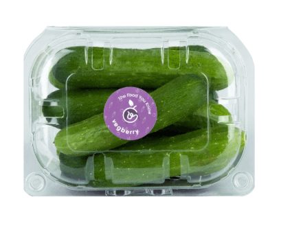 Organic Mini Snack Cucumber