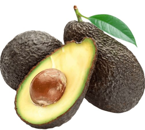 Avocado Hass