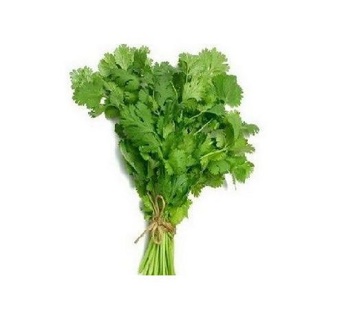 Coriander