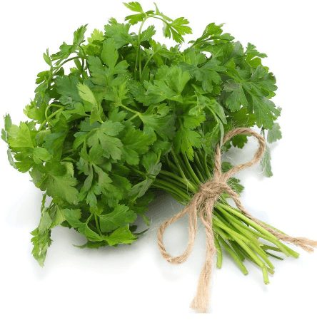 Parsley