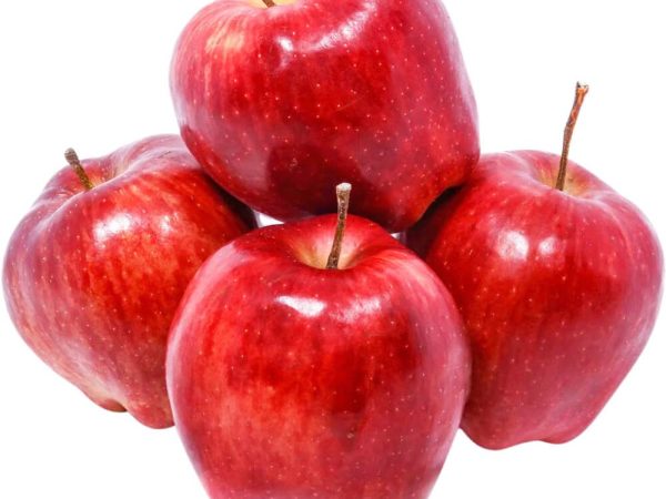 Apple Red