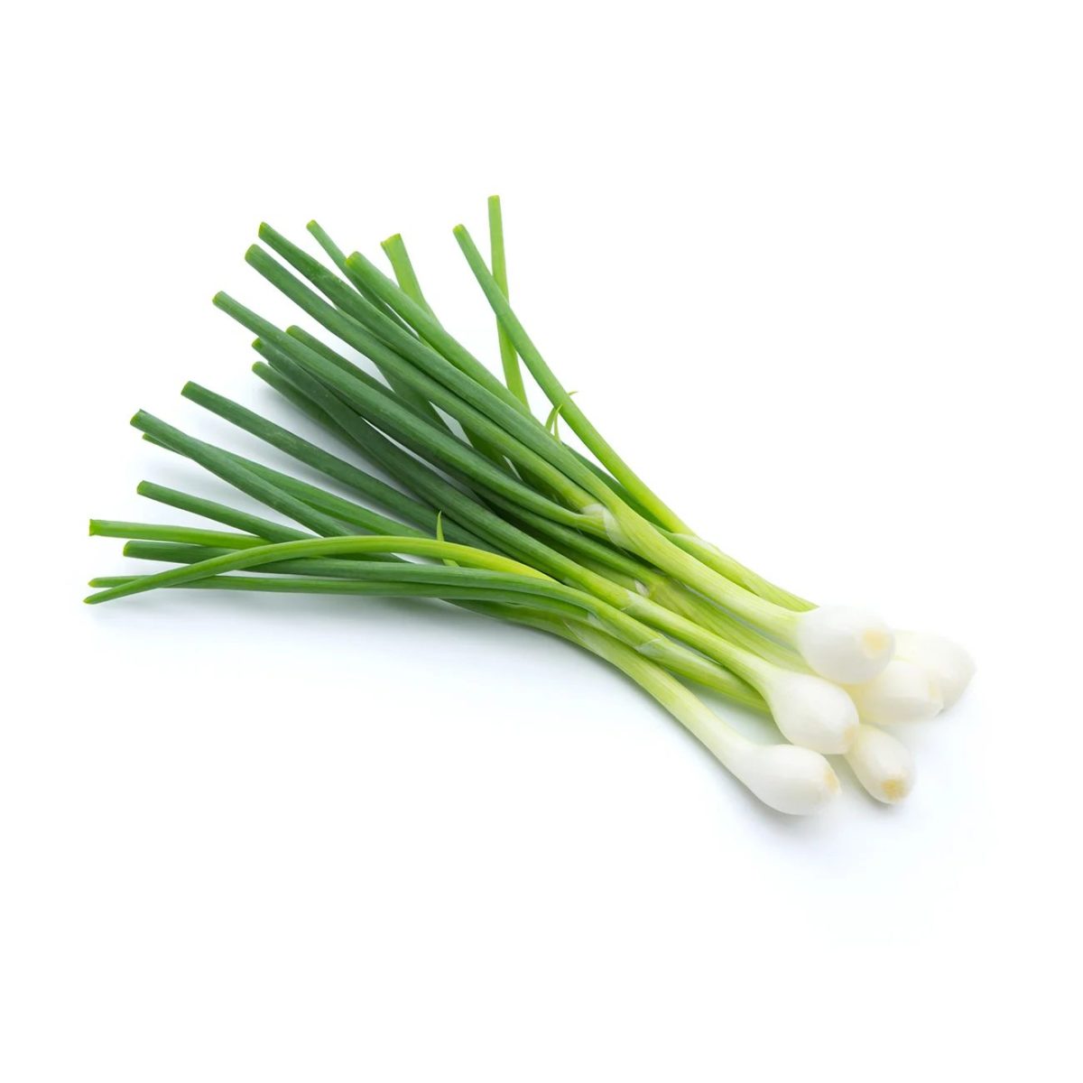 Spring Onion - Image 1