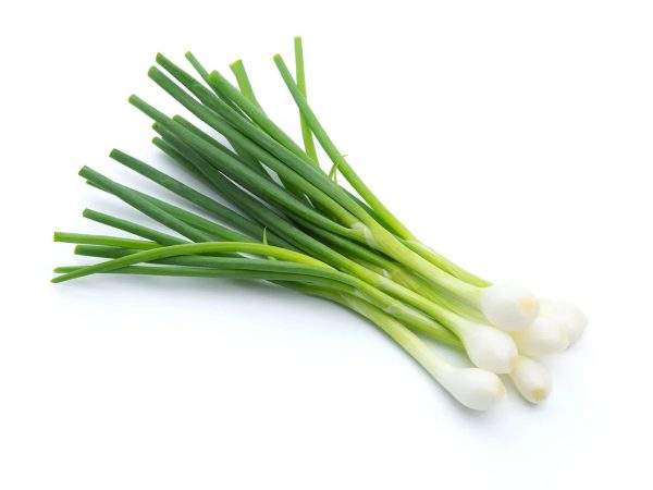 Spring Onion