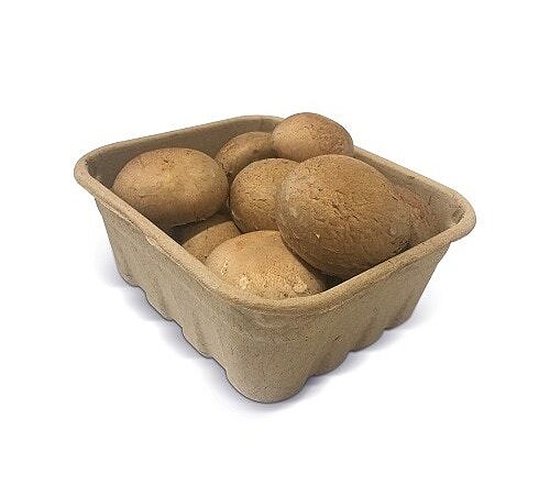 Brown Button Mushroom