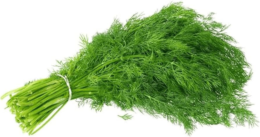 3e9f5d54 Dill - Image 1