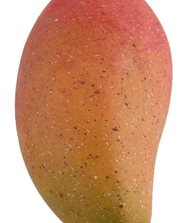 Mango Keitt