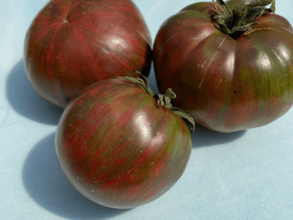Organic Tomato Tye Dye