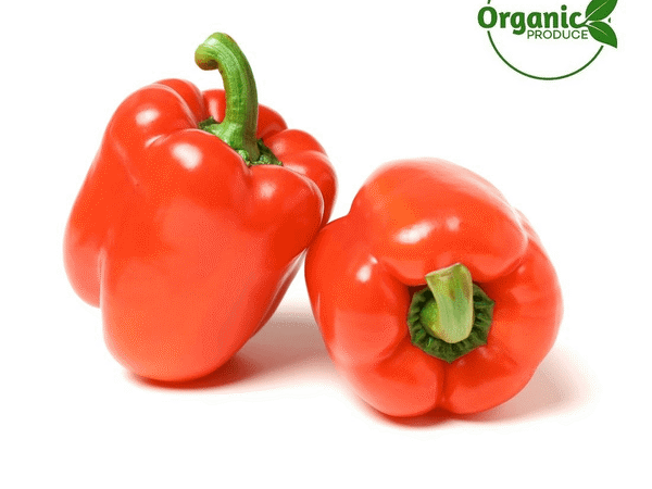 Organic Capsicum Red