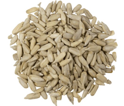 Organic Sunflower Seeds