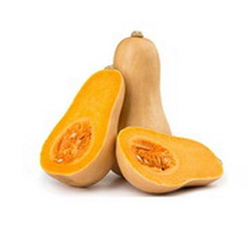 Organic Squash Butternut Heirloom Succana Orange Rugosa
