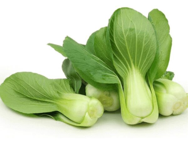 Organic Pak Choi Heirloom Shanghai Verde