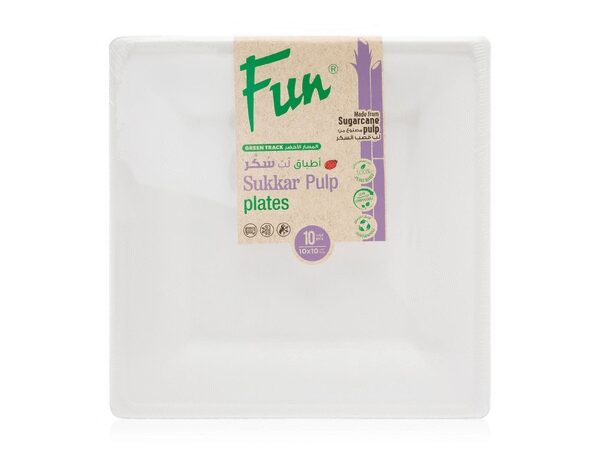 Fun Biodegradable Moulded Fibre Square Plate 10x10in