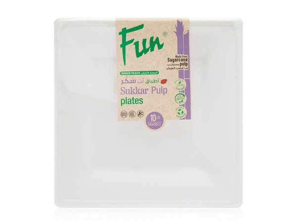 Fun Biodegradable Moulded Fibre Square Plate 10x10in