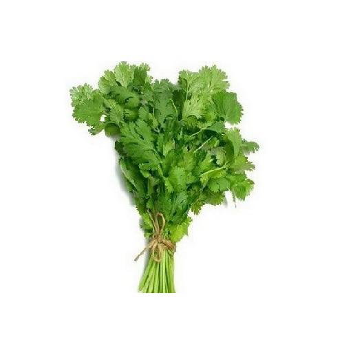 b0ed747f Coriander - Image 1