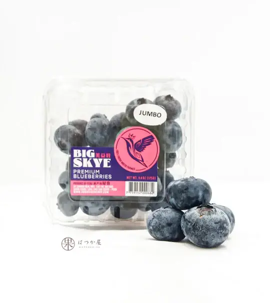 b53c520c Organic Blueberry - Image 1