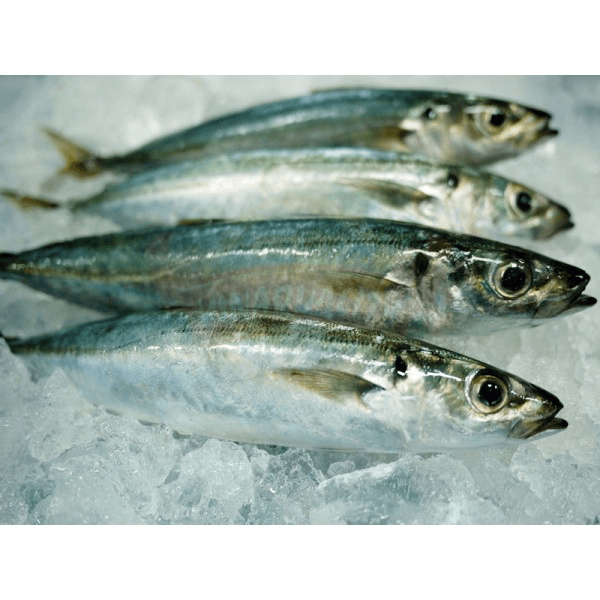 dbc45127 Local Yellowtail Scad - Image 1