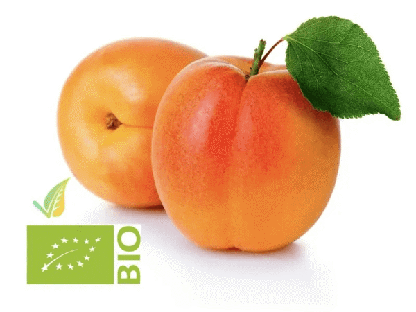 Organic Apricot
