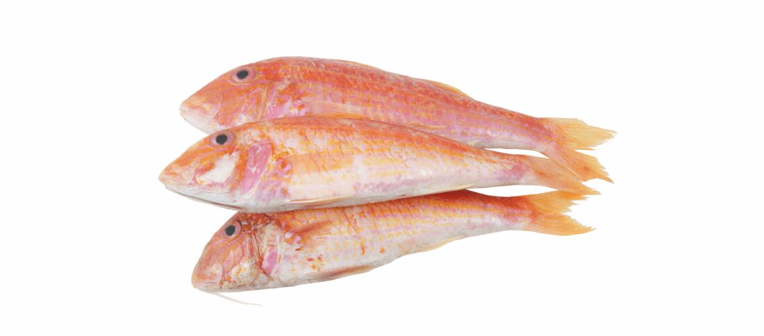 f8964e7d Fresh Red Mullet - Image 1