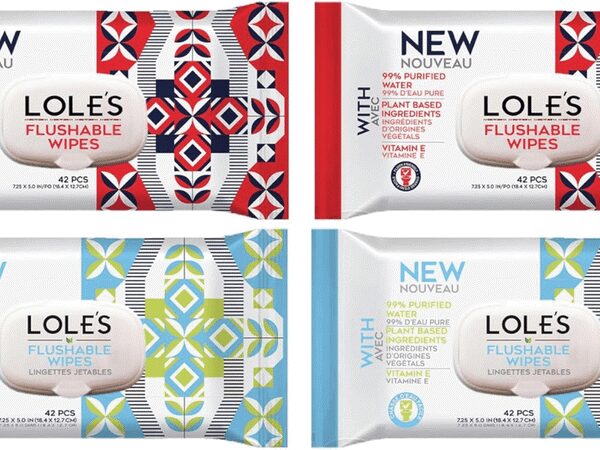 Adult Flushable Cleaning Wipes 42pcs