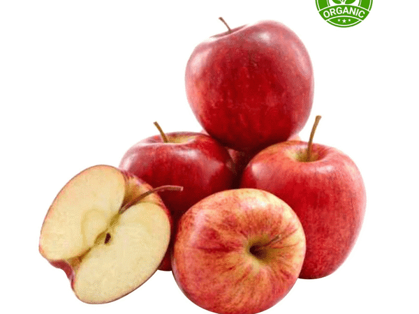 Organic Apple Red