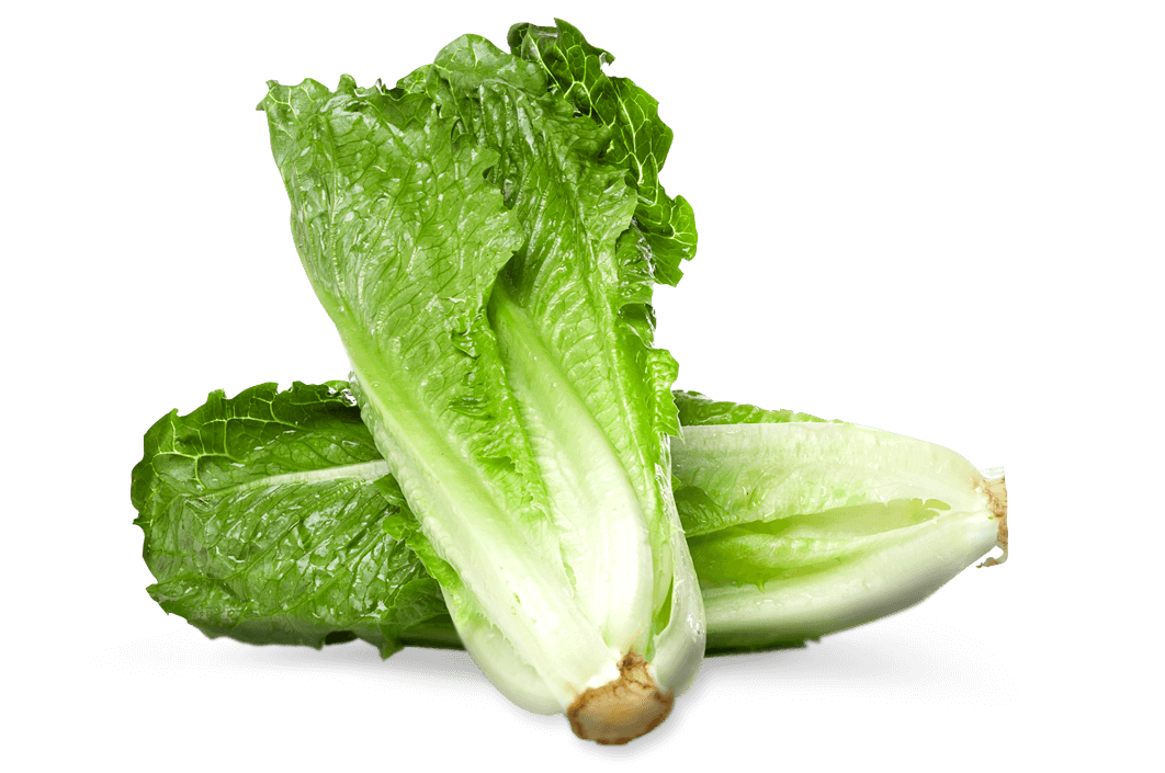 image.png Armela Farms Romaine Lettuce - Image 1