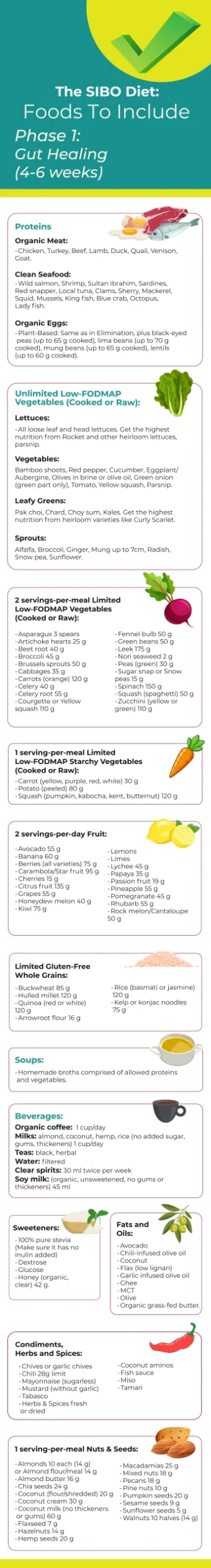 PHASE 1 SIBO GUT HEALING – FOOD TO INCLUDE PHASE 1 SIBO GUT HEALING - FOOD TO INCLUDE